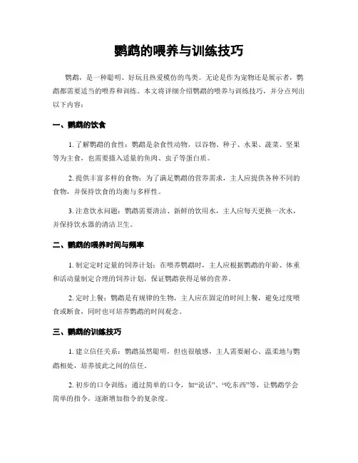 鹦鹉的喂养与训练技巧