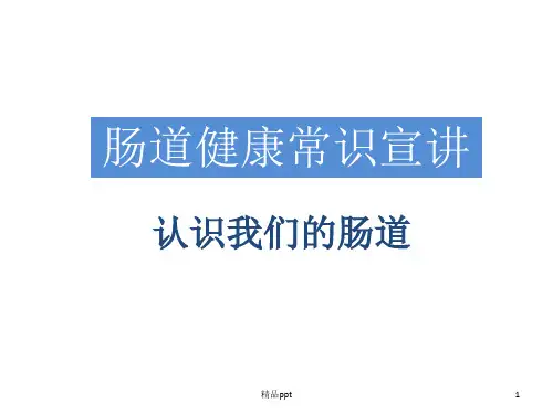 肠道健康常识ppt课件