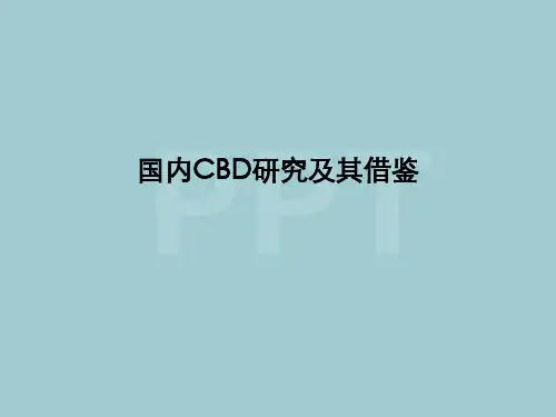 国内CBD项目发展历程研究及其案例借鉴_70页