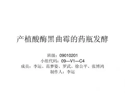 产植酸酶黑曲霉的药瓶发酵