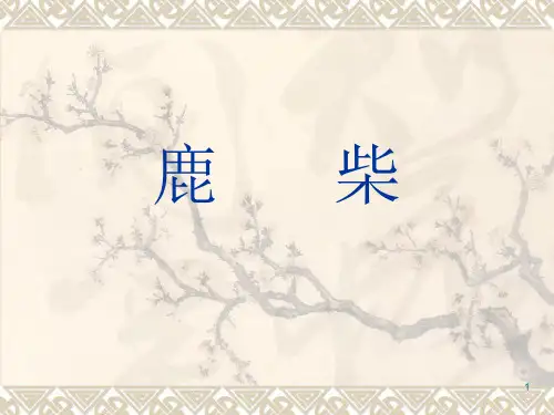 《鹿柴》ppt课件