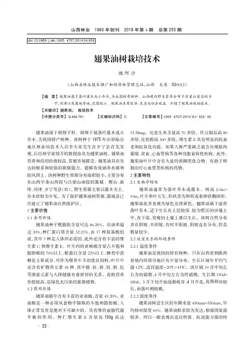 翅果油树栽培技术