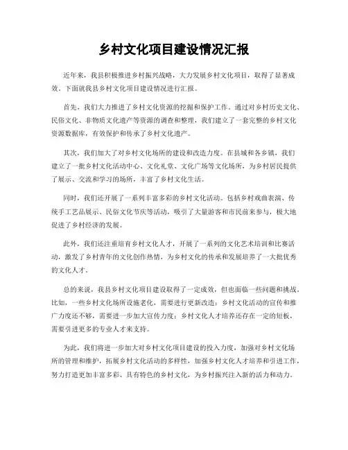 乡村文化项目建设情况汇报