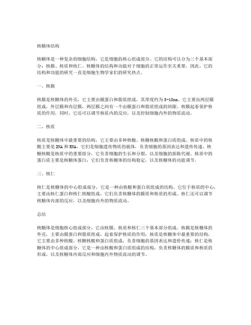 核糖体的结构
