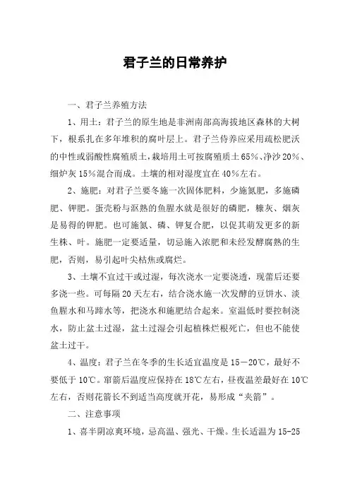 君子兰的日常养护