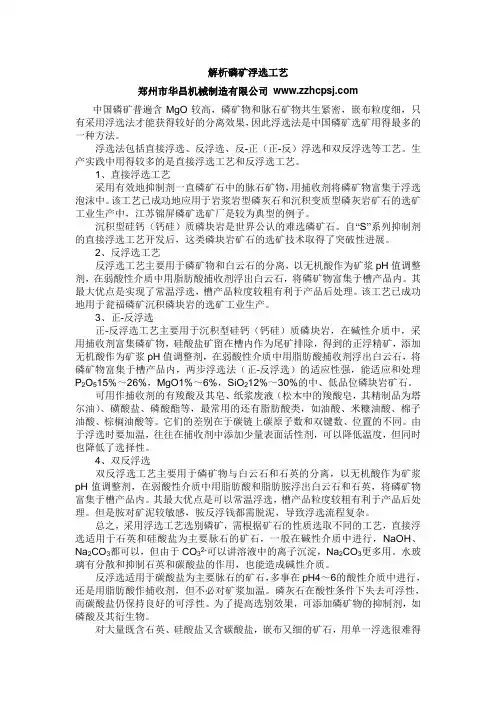 解析磷矿浮选工艺