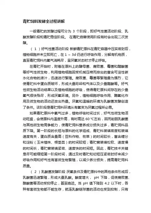 青贮饲料发酵全过程讲解