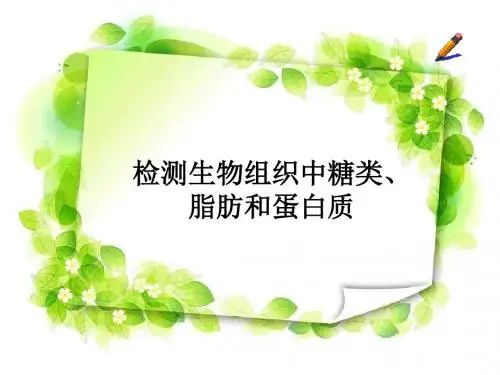人教版高中生物必修1：第1节  细胞中的元素和化合物