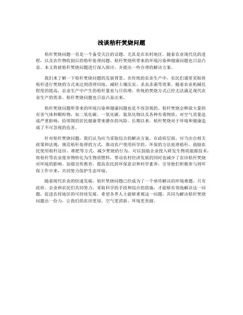 浅谈秸秆焚烧问题