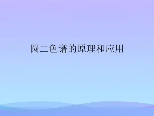 圆二色谱的原理和应用精品PPT资料