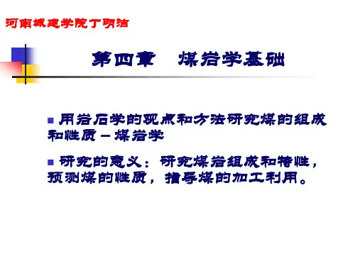 第三章煤岩学基础