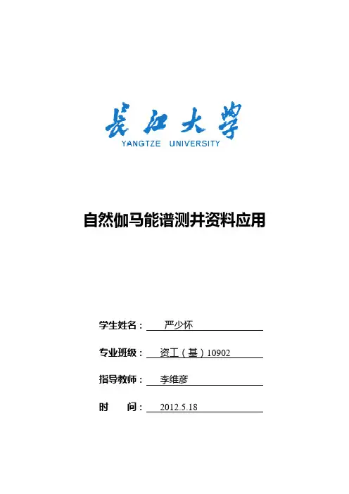 自然伽马能谱测井在评价沉积环境方面的运用