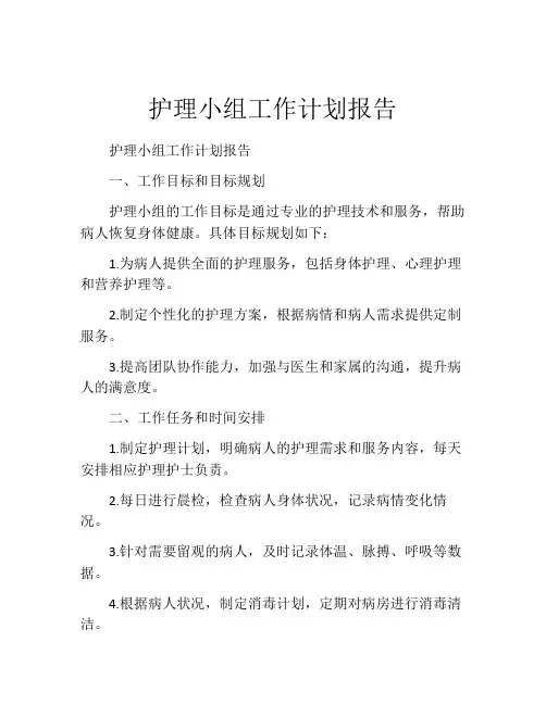 护理小组工作计划报告