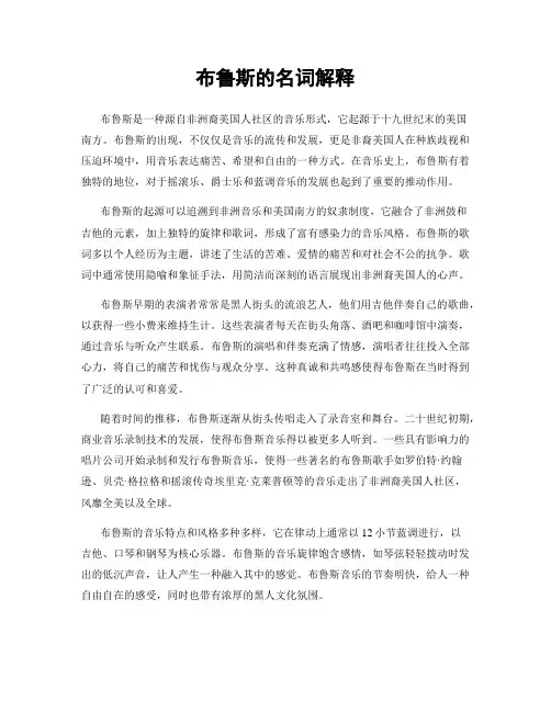 布鲁斯的名词解释