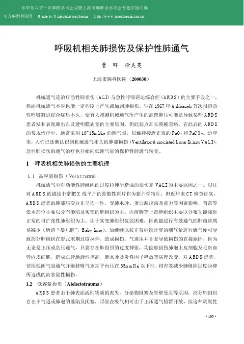 呼吸机相关肺损伤及保护性肺通气