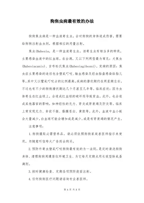 狗焦虫病最有效的办法