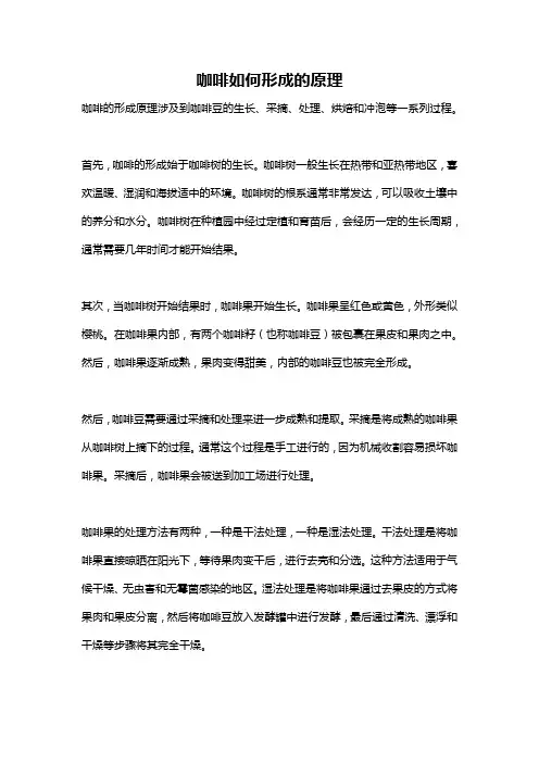 咖啡如何形成的原理