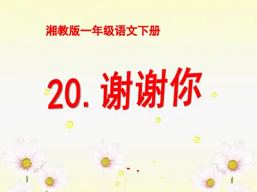《谢谢你》PPT课件