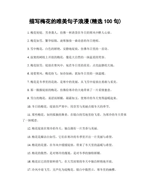 描写梅花的唯美句子浪漫(精选100句)