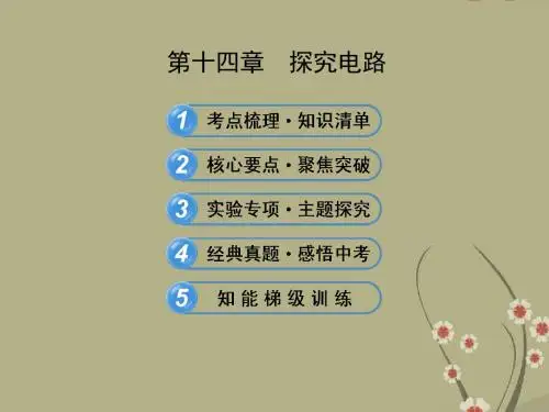 【全程复习方略】(教师用书)中考物理 第十四章 探究电路配套课件 沪科版