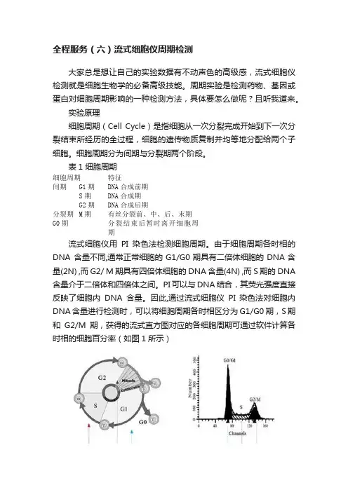 全程服务（六）流式细胞仪周期检测