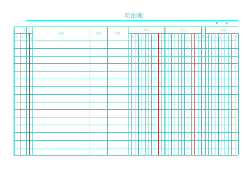 财务明细账
