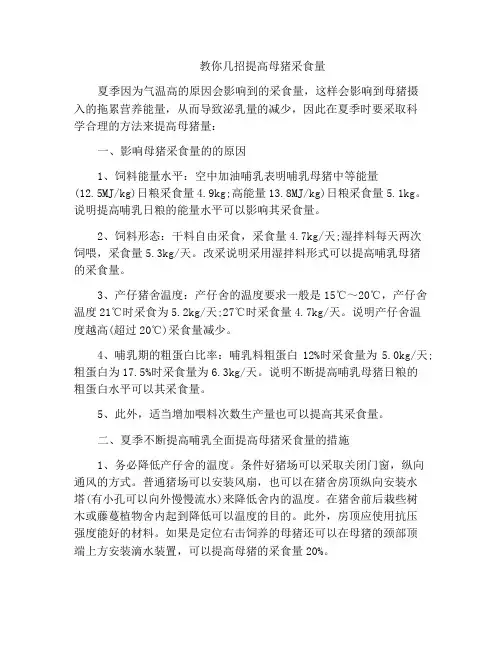 教你几招提高母猪采食量