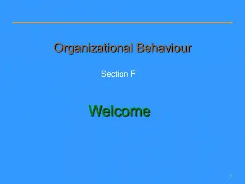 组织行为学 Organizational Behaviour