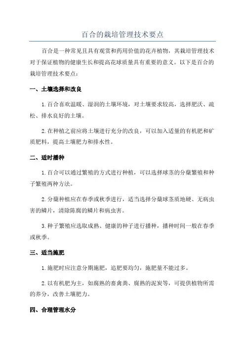 百合的栽培管理技术要点