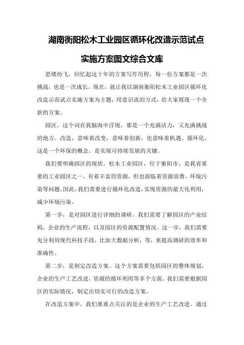 湖南衡阳松木工业园区循环化改造示范试点实施方案 - 图文 - 综合文库