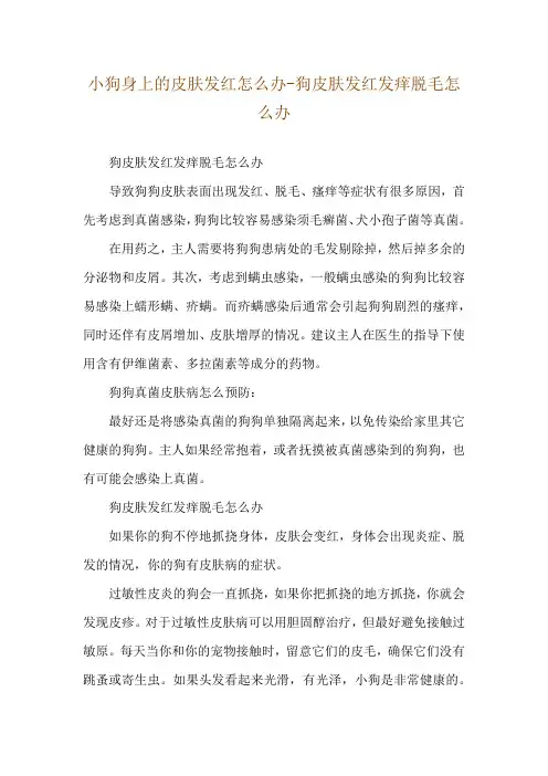 小狗身上的皮肤发红怎么办-狗皮肤发红发痒脱毛怎么办