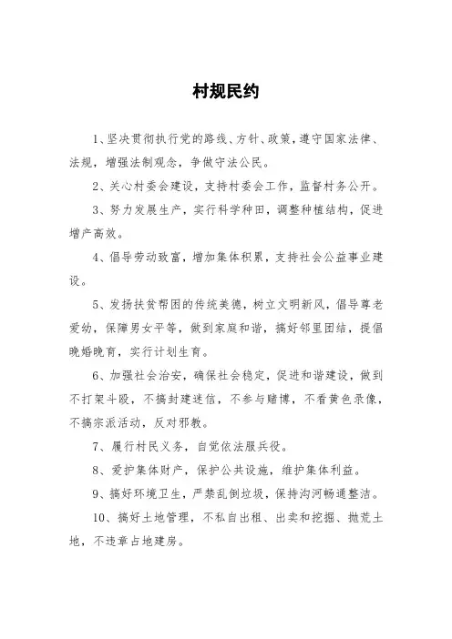 村规民约范文