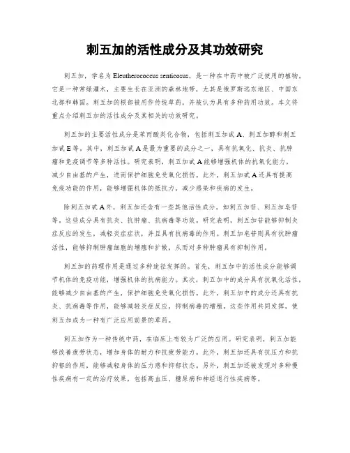 刺五加的活性成分及其功效研究