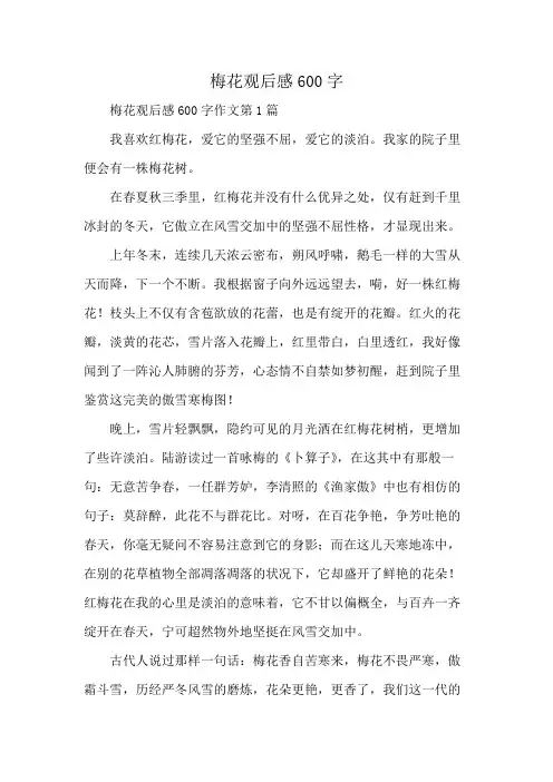 梅花观后感600字