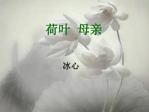 新人教版语文七年级上册：4-荷叶母亲(共10张PPT)