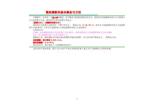 微距摄影的基本概念与方法