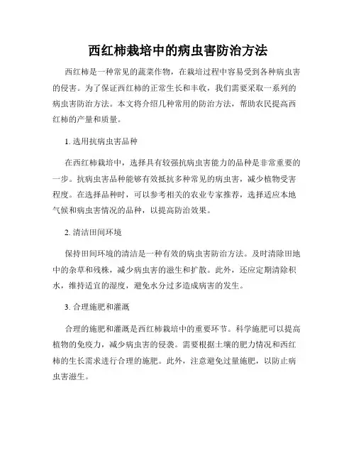 西红柿栽培中的病虫害防治方法