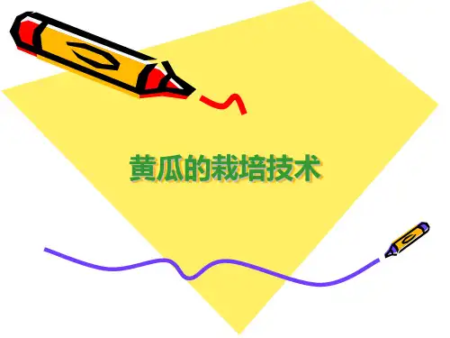 黄瓜的栽培技术1