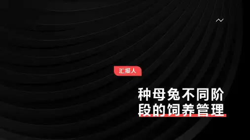 种母兔不同阶段的饲养管理