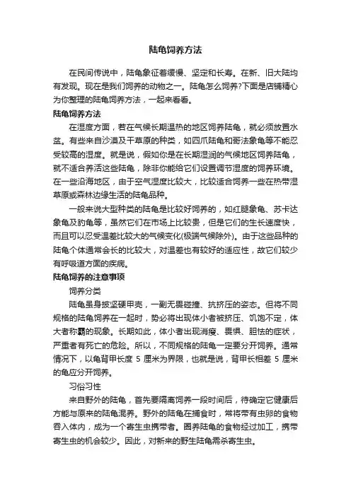 陆龟饲养方法
