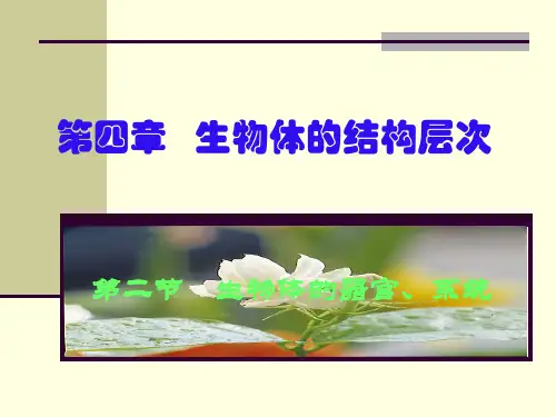 生物第4章第2节生物体的器官系统课件北师大版七年级上ppt