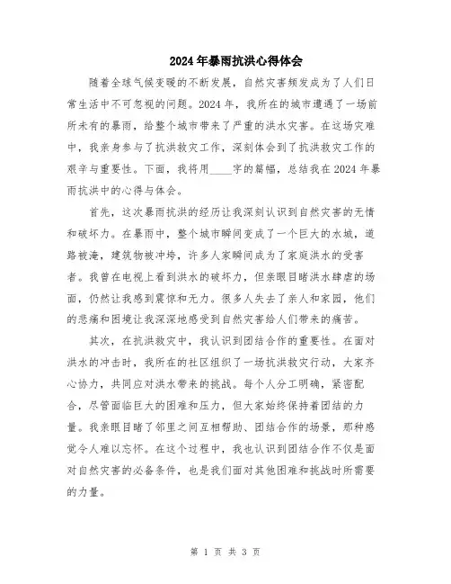 2024年暴雨抗洪心得体会