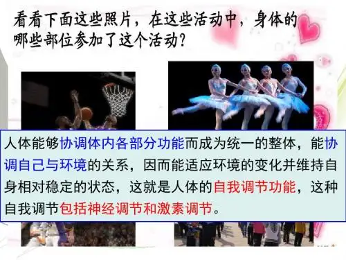 神经系统与神经调节第一课时优秀教案