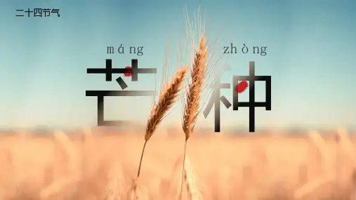 二十四节气 芒种ppt