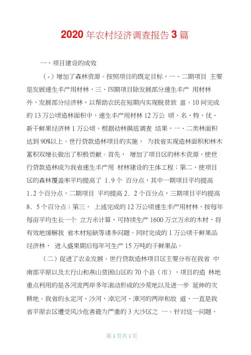 2020年农村经济调查报告3篇
