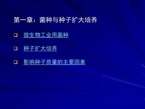 微生物工程第一章 菌种与种子扩大培养