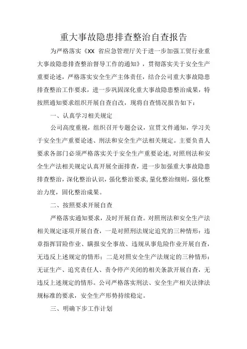 重大事故隐患排查整治自查报告