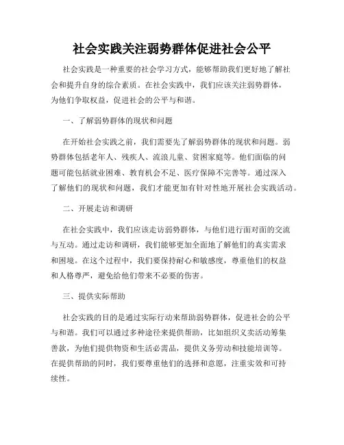 社会实践关注弱势群体促进社会公平