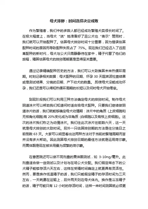 母犬排卵：时间选择决定成败