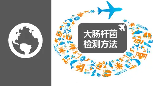 大肠杆菌检测医学PPT